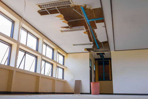 Best Water damage restoration services  in Listoga, CA
