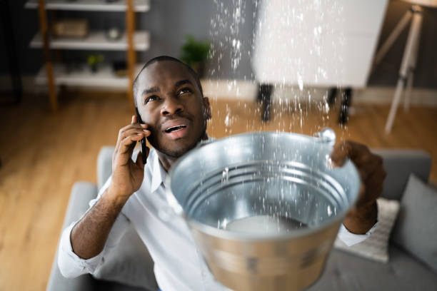 Best Flood damage cleanup  in Listoga, CA