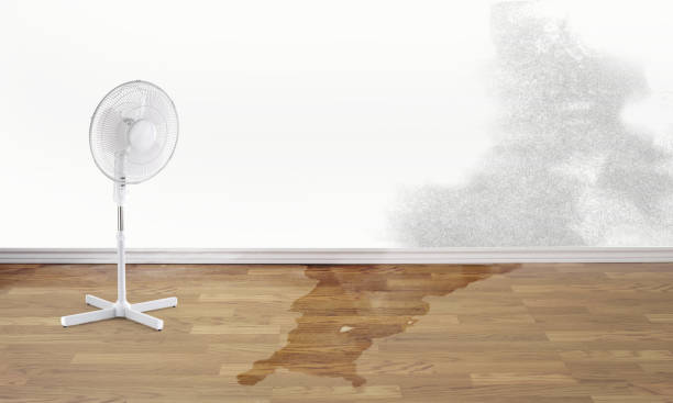 Best Water damage restoration near me  in Listoga, CA