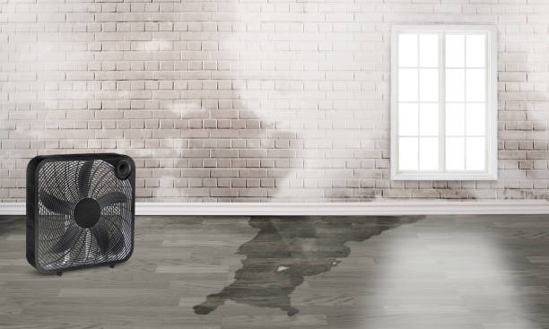 Best Local water damage restoration  in Listoga, CA