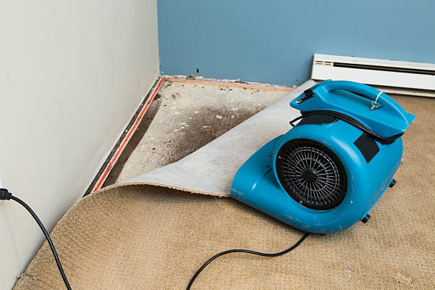 Water damage restoration mold remediation in Calistoga, CA